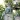 S06f667cbdc344df8ad0253d8292fae8dU.webp