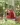 S10a65f489bfb41abb24ce0f7cf127f3eX.webp