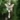 S271aef99e05e41ec83b3502bfcd24ae90.webp