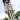 S399cf5a4089e4f2cbfdd34f3dd53dd75P.webp