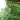S4f35e059bd334d64919632d8102f11fc3.webp