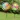 S5f46d727212244eda78746e8e218c9efe.webp