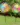S5f46d727212244eda78746e8e218c9efe.webp