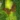 Scf97a73d146846afbf10570ac92c8aac1.webp