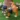 Sfa4f52114b394022b37c47013c3b26a8C.webp