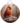 Bird Wall Decorative